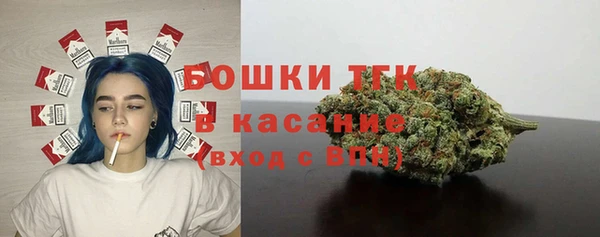 ПСИЛОЦИБИНОВЫЕ ГРИБЫ Аркадак
