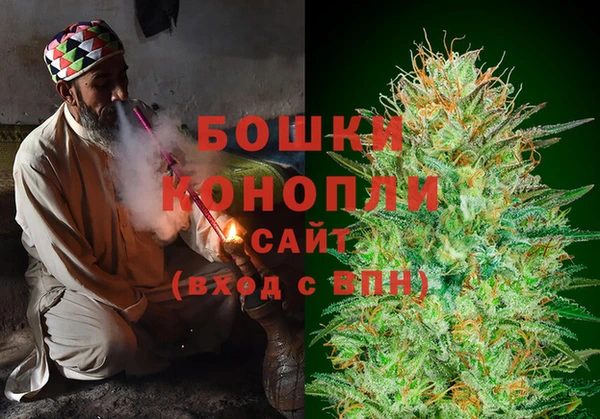 ПСИЛОЦИБИНОВЫЕ ГРИБЫ Аркадак