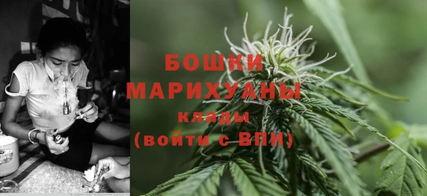 ПСИЛОЦИБИНОВЫЕ ГРИБЫ Аркадак