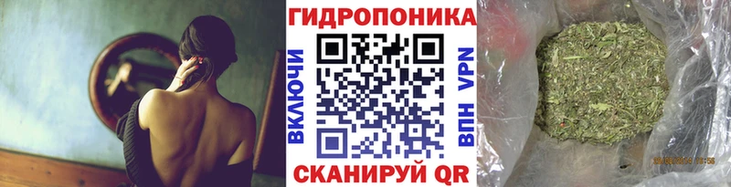 Марихуана тримм  KRAKEN как зайти  Межгорье  купить наркотик 